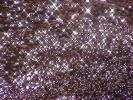 <img0*100:stuff/z/166146/Cia%2527s%2520Stock%2520Pictures/Cia%20stock%20Photos%20(103).JPG>