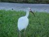 <img100*0:stuff/z/166146/Cia%2527s%2520Stock%2520Pictures/Cia%20stock%20Photos%20(104).JPG>