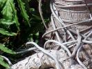 <img0*100:stuff/z/166146/Cia%2527s%2520Stock%2520Pictures/Cia%20stock%20Photos%20(107).JPG>