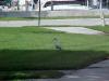 <img100*0:stuff/z/166146/Cia%2527s%2520Stock%2520Pictures/Cia%20stock%20Photos%20(108).JPG>