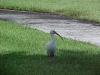 <img100*0:stuff/z/166146/Cia%2527s%2520Stock%2520Pictures/Cia%20stock%20Photos%20(109).JPG>