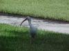 <img100*0:stuff/z/166146/Cia%2527s%2520Stock%2520Pictures/Cia%20stock%20Photos%20(110).JPG>