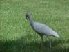 <img100*0:stuff/z/166146/Cia%2527s%2520Stock%2520Pictures/Cia%20stock%20Photos%20(112).JPG>