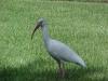 <img100*0:stuff/z/166146/Cia%2527s%2520Stock%2520Pictures/Cia%20stock%20Photos%20(113).JPG>
