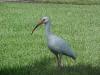 <img100*0:stuff/z/166146/Cia%2527s%2520Stock%2520Pictures/Cia%20stock%20Photos%20(115).JPG>
