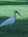 <img56*0:stuff/z/166146/Cia%2527s%2520Stock%2520Pictures/Cia%20stock%20Photos%20(120).JPG>