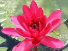 <img0*100:stuff/z/166146/Cia%2527s%2520Stock%2520Pictures/Cia%20stock%20Photos%20(15).jpg>