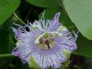 <img0*100:stuff/z/166146/Cia%2527s%2520Stock%2520Pictures/Cia%20stock%20Photos%20(19).jpg>