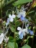 <img0*100:stuff/z/166146/Cia%2527s%2520Stock%2520Pictures/Cia%20stock%20Photos%20(21).jpg>
