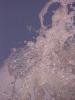 <img0*100:stuff/z/166146/Cia%2527s%2520Stock%2520Pictures/Cia%20stock%20Photos%20(22).JPG>