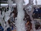 <img0*100:stuff/z/166146/Cia%2527s%2520Stock%2520Pictures/Cia%20stock%20Photos%20(23).JPG>