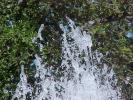 <img0*100:stuff/z/166146/Cia%2527s%2520Stock%2520Pictures/Cia%20stock%20Photos%20(25).JPG>