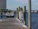 <img0*100:stuff/z/166146/Cia%2527s%2520Stock%2520Pictures/Cia%20stock%20Photos%20(33).JPG>