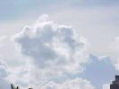 <img0*100:stuff/z/166146/Cia%2527s%2520Stock%2520Pictures/Cia%20stock%20Photos%20(35).JPG>