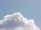 <img0*100:stuff/z/166146/Cia%2527s%2520Stock%2520Pictures/Cia%20stock%20Photos%20(36).JPG>