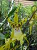 <img0*100:stuff/z/166146/Cia%2527s%2520Stock%2520Pictures/Cia%20stock%20Photos%20(38).JPG>