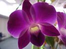 <img0*100:stuff/z/166146/Cia%2527s%2520Stock%2520Pictures/Cia%20stock%20Photos%20(40).JPG>
