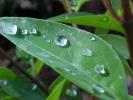 <img0*100:stuff/z/166146/Cia%2527s%2520Stock%2520Pictures/Cia%20stock%20Photos%20(46).JPG>