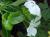 <img50*0:stuff/z/166146/Cia%2527s%2520Stock%2520Pictures/Cia%20stock%20Photos%20(55).JPG>