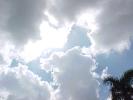 <img0*100:stuff/z/166146/Cia%2527s%2520Stock%2520Pictures/Cia%20stock%20Photos%20(56).JPG>