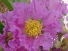 <img0*100:stuff/z/166146/Cia%2527s%2520Stock%2520Pictures/Cia%20stock%20Photos%20(61).JPG>