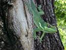 <img0*100:stuff/z/166146/Cia%2527s%2520Stock%2520Pictures/Cia%20stock%20Photos%20(64).JPG>