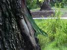 <img0*100:stuff/z/166146/Cia%2527s%2520Stock%2520Pictures/Cia%20stock%20Photos%20(65).JPG>