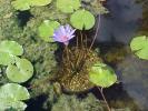 <img0*100:stuff/z/166146/Cia%2527s%2520Stock%2520Pictures/Cia%20stock%20Photos%20(67).JPG>