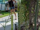 <img0*100:stuff/z/166146/Cia%2527s%2520Stock%2520Pictures/Cia%20stock%20Photos%20(68).JPG>