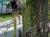 <img50*0:stuff/z/166146/Cia%2527s%2520Stock%2520Pictures/Cia%20stock%20Photos%20(68).JPG>