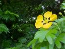 <img0*100:stuff/z/166146/Cia%2527s%2520Stock%2520Pictures/Cia%20stock%20Photos%20(71).JPG>