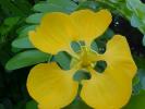 <img0*100:stuff/z/166146/Cia%2527s%2520Stock%2520Pictures/Cia%20stock%20Photos%20(72).JPG>