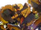 <img0*100:stuff/z/166146/Cia%2527s%2520Stock%2520Pictures/Cia%20stock%20Photos%20(74).JPG>