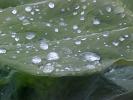 <img0*100:stuff/z/166146/Cia%2527s%2520Stock%2520Pictures/Cia%20stock%20Photos%20(79).JPG>