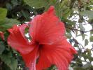 <img0*100:stuff/z/166146/Cia%2527s%2520Stock%2520Pictures/Cia%20stock%20Photos%20(80).JPG>