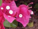 <img0*100:stuff/z/166146/Cia%2527s%2520Stock%2520Pictures/Cia%20stock%20Photos%20(83).JPG>