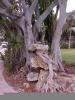 <img0*100:stuff/z/166146/Cia%2527s%2520Stock%2520Pictures/Cia%20stock%20Photos%20(84).JPG>
