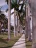 <img0*100:stuff/z/166146/Cia%2527s%2520Stock%2520Pictures/Cia%20stock%20Photos%20(89).JPG>