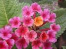 <img0*100:stuff/z/166146/Cia%2527s%2520Stock%2520Pictures/Cia%20stock%20Photos%20(90).JPG>