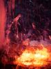 <img0*100:stuff/z/166146/Cia%2527s%2520Stock%2520Pictures/Cia%20stock%20Photos%20(93).JPG>