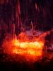 <img0*100:stuff/z/166146/Cia%2527s%2520Stock%2520Pictures/Cia%20stock%20Photos%20(94).JPG>