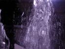 <img0*100:stuff/z/166146/Cia%2527s%2520Stock%2520Pictures/Cia%20stock%20Photos%20(95).JPG>