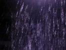 <img0*100:stuff/z/166146/Cia%2527s%2520Stock%2520Pictures/Cia%20stock%20Photos%20(96).JPG>