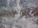 <img0*100:stuff/z/166146/Cia%2527s%2520Stock%2520Pictures/Cia%20stock%20Photos%20(99).JPG>