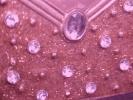 <img0*100:stuff/z/166146/clematis%2520jewelry/jewelry%20(11).JPG>