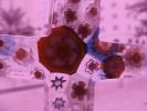 <img0*100:stuff/z/166146/clematis%2520jewelry/jewelry.JPG>