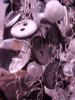 <img0*100:stuff/z/166146/clematis%2520jewelry/jewelry2%20(3).JPG>