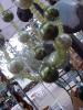 <img0*100:stuff/z/166146/clematis%2520jewelry/jewelry3%20(7).JPG>