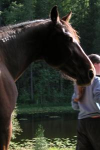 <img200*0:stuff/z/1673/joneyashorses2/DSCN4820.JPG>