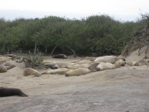 <img300*0:stuff/z/1675/EPRM%2520Aeo%2520Underwater%2521/IMG_0185.JPG>